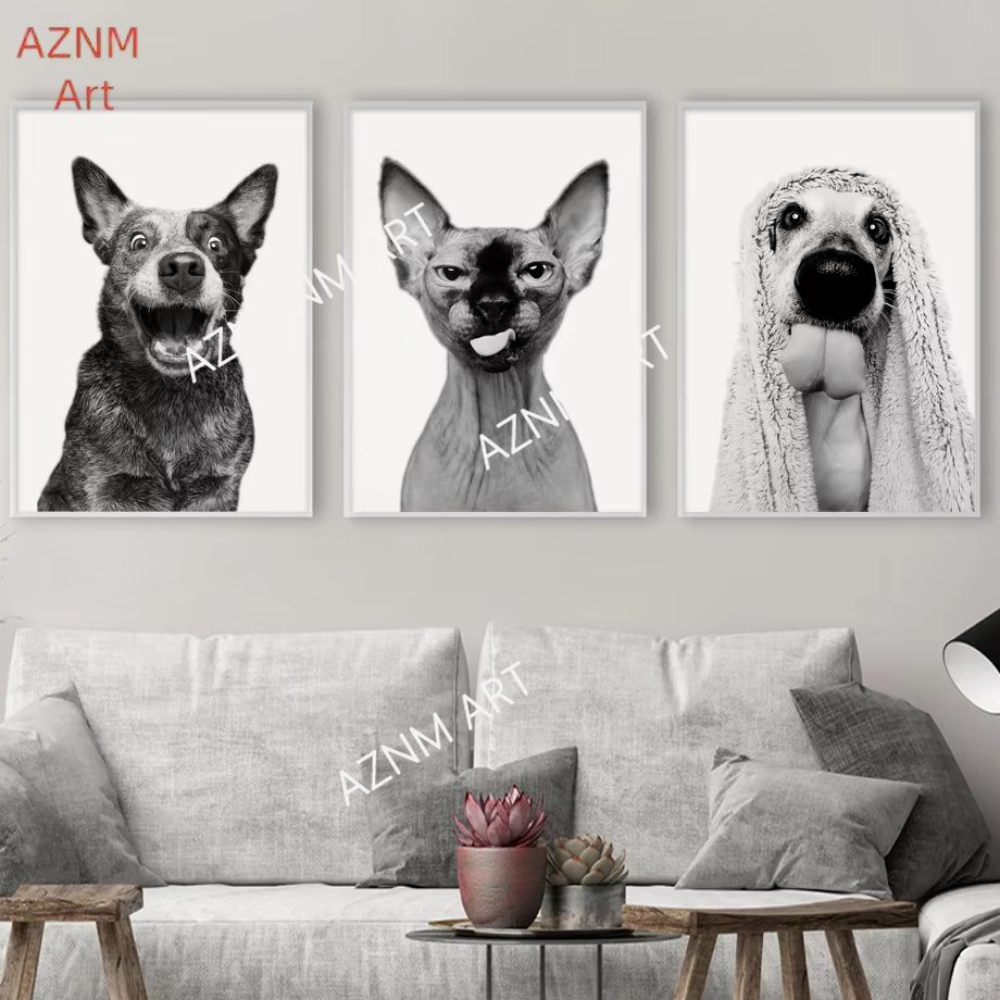 أبو الهول القط الفرنسية البلدغ - مراجعة Home Textiles France وسعره