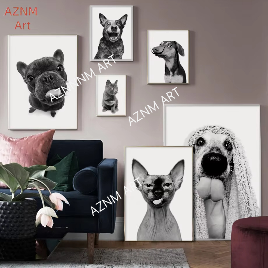 أبو الهول القط الفرنسية البلدغ - مراجعة Home Textiles France وسعره